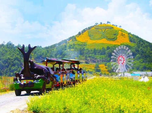 함편 엑스포공원 사진