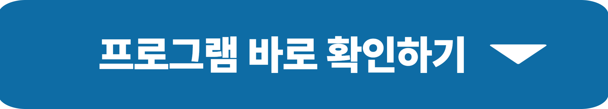 서울 드럼 페스티벌