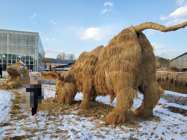 국립농업박물관 볏짚으로 만든 소 모형