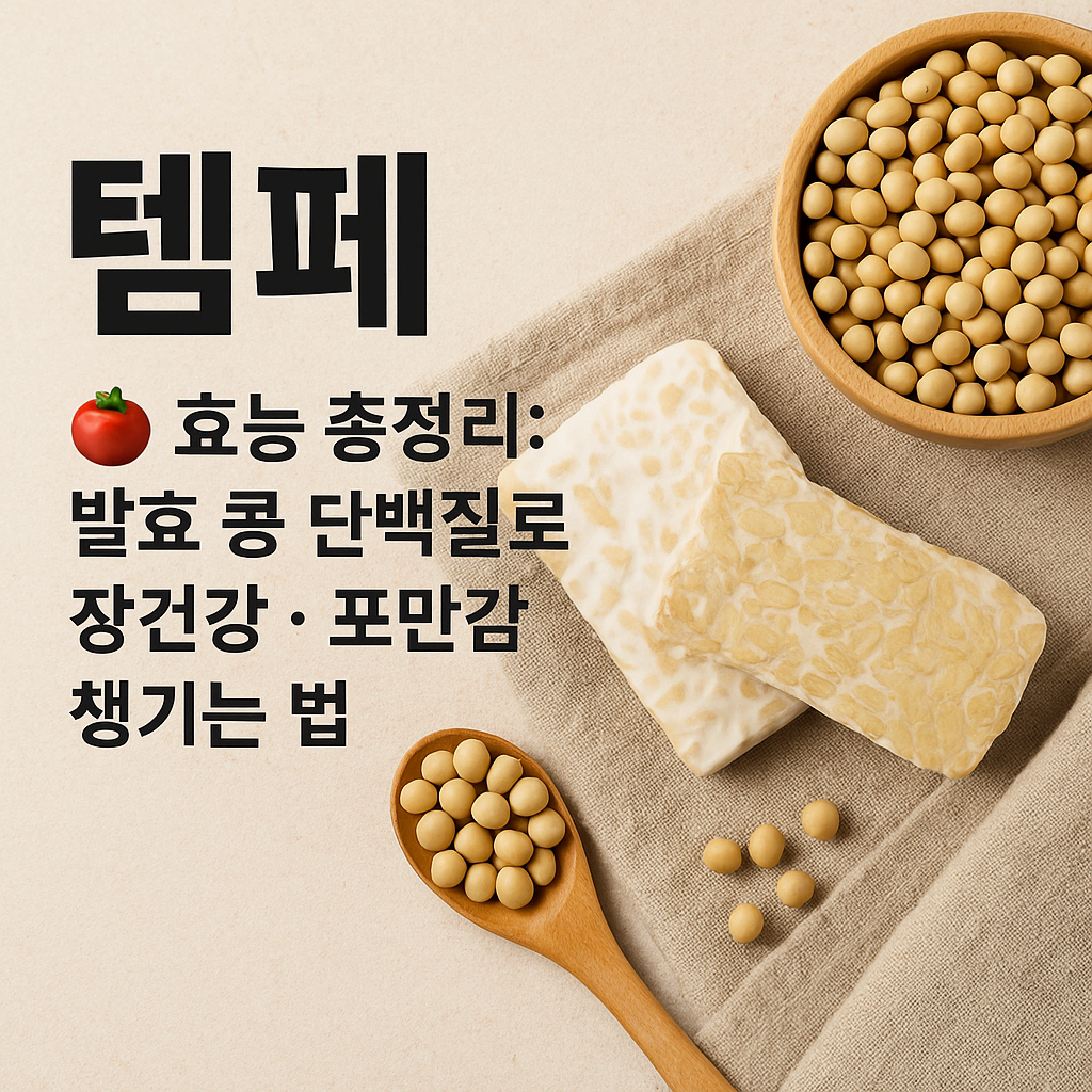 템페 효능 총정리: 발효 콩 단백질로 장건강&middot;포만감 챙기는 법