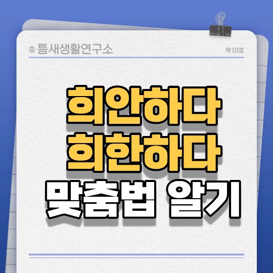 희한하다-썸네일