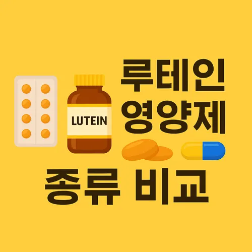 루테인 영양제 종류 비교 안내