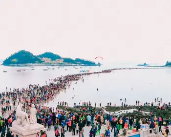 진도 신비의 바닷길 축제_10