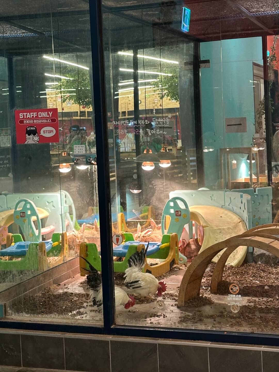 하남 쥬라리움 닭 사육장 모습