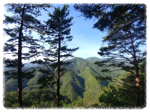 구수곡자연휴양림