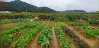 주말농장 시작법 분양 준비물 초보팁 가족과 함께 즐기기_21