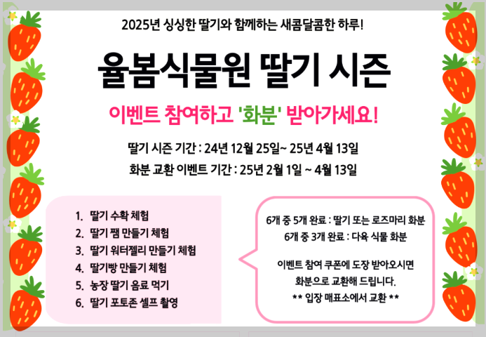 율봄식물원 딸기 수확 체험