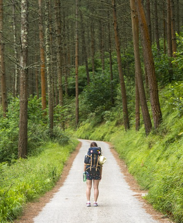 배낭여행 대학생 관련 사진