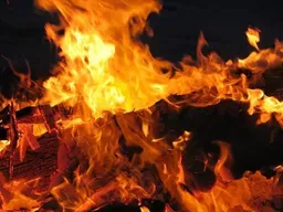 여름철 온열질환 발생 추이 기후 변화 연관성