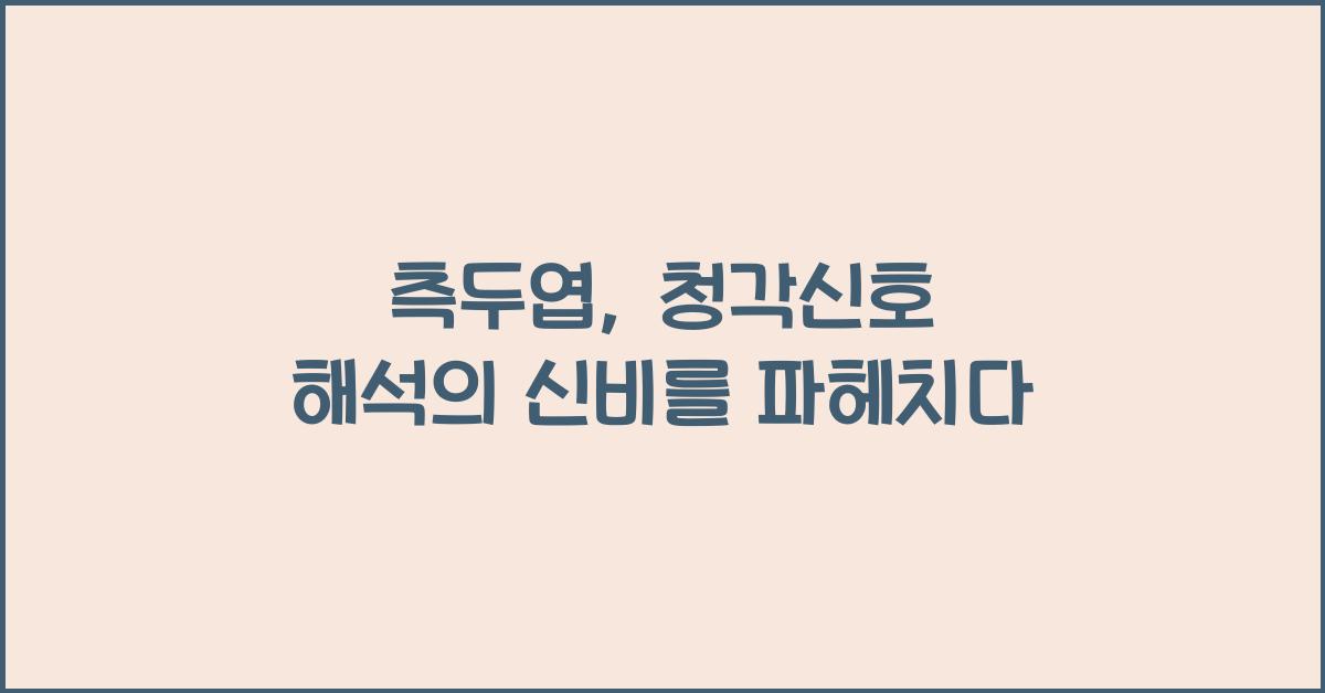 측두엽, 청각신호 해석