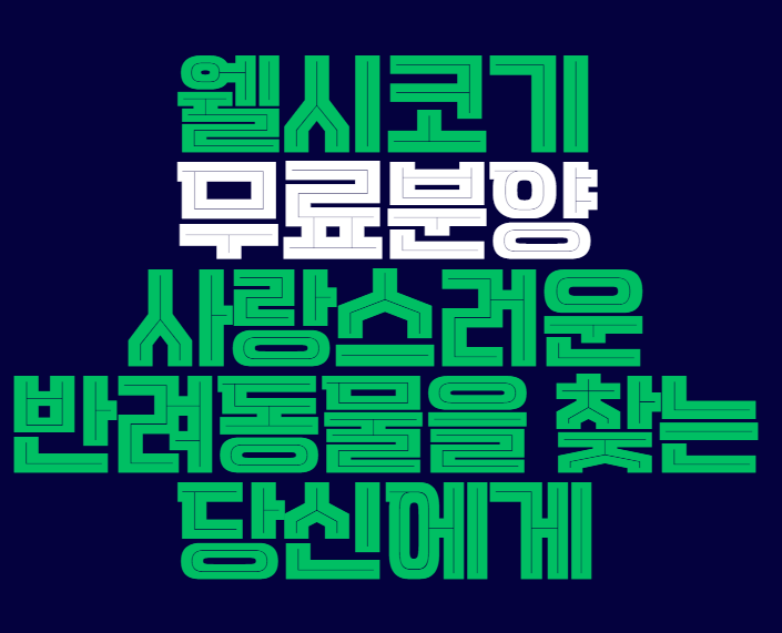웰시코기