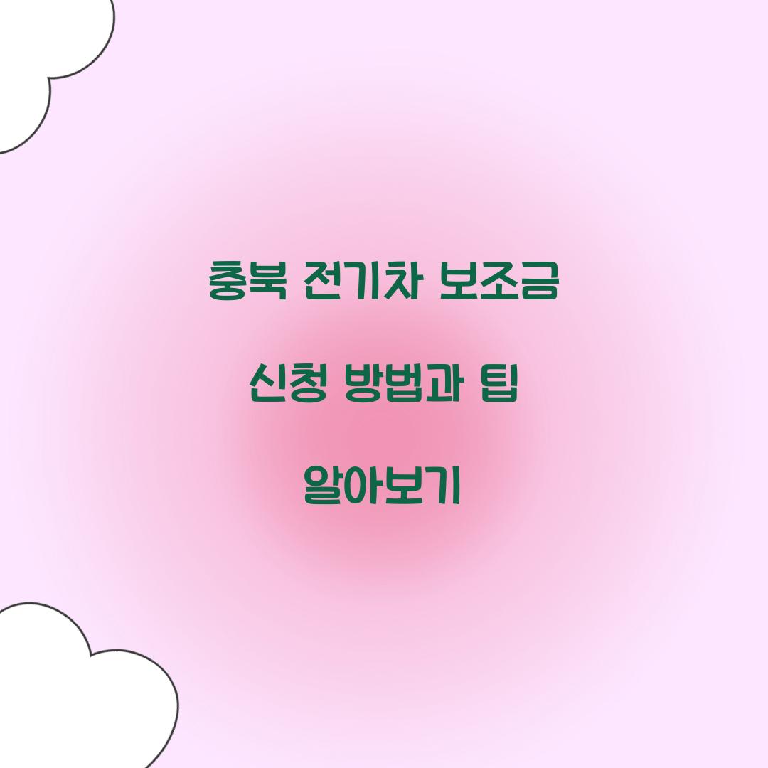 충북 전기차 보조금