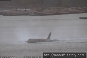 세계 버드스트라이크 사고 사례