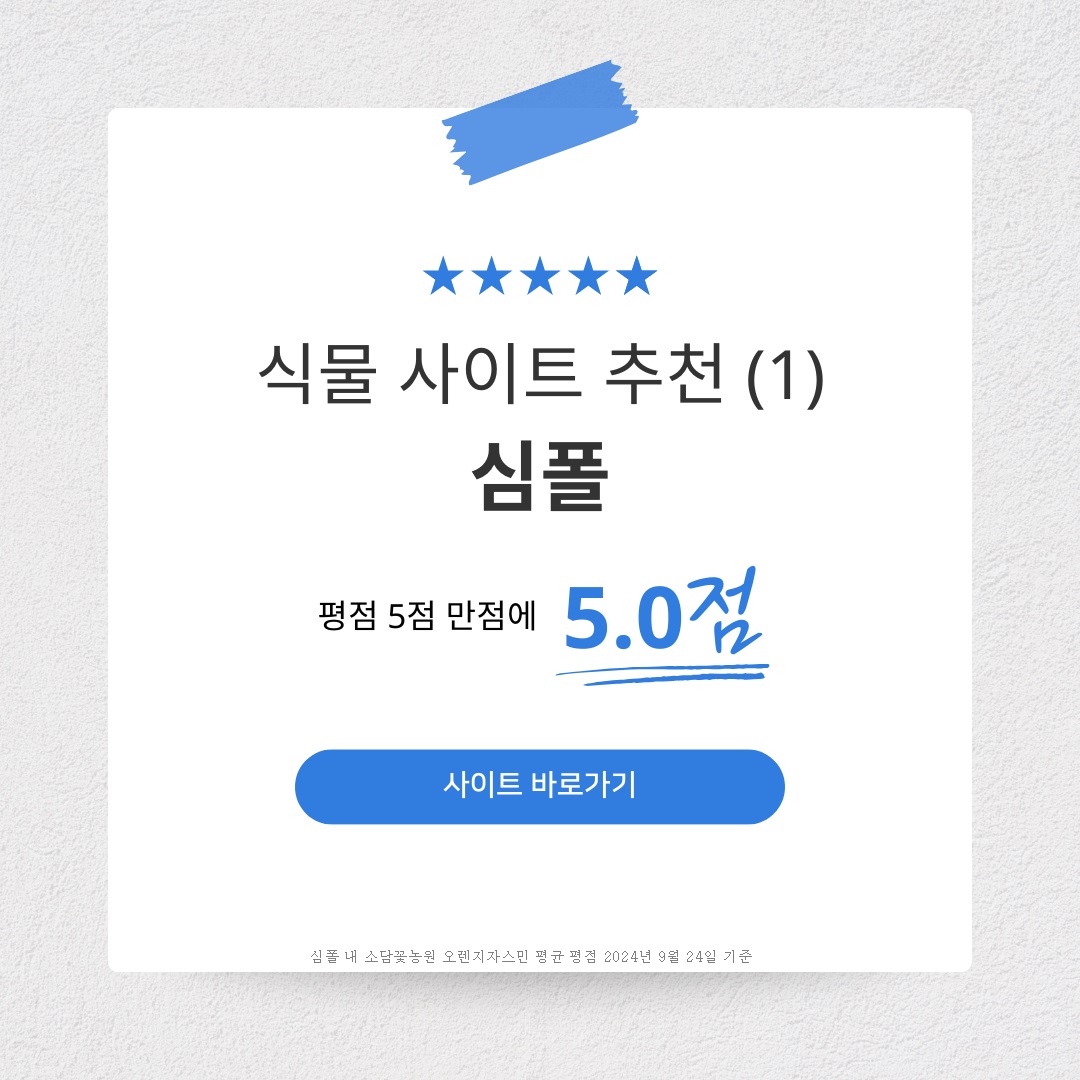 아로스 팝업