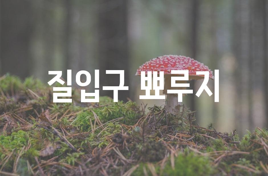 샘플 (42)
