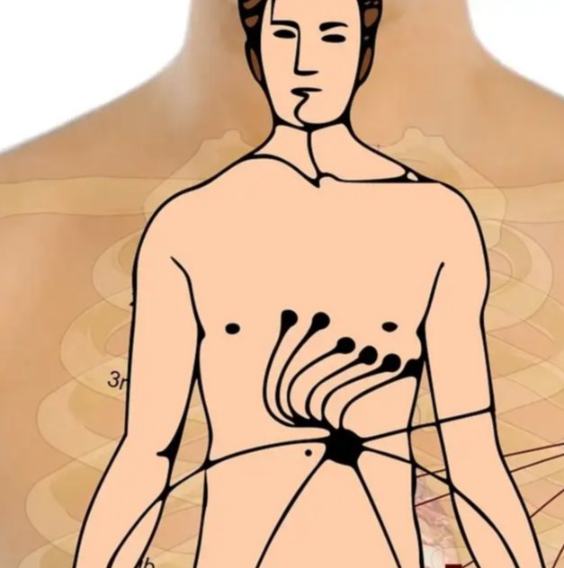 동맥경화 검사 심전도