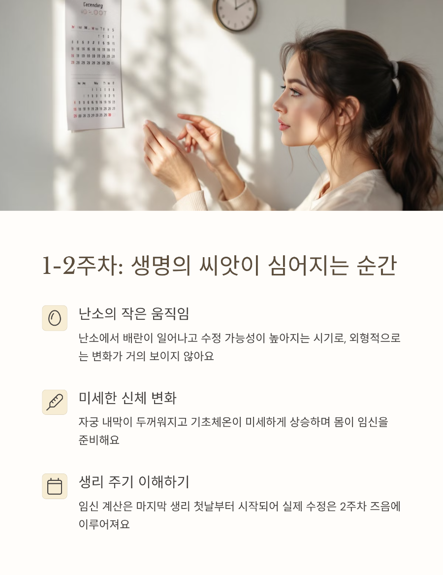 임신 1-4주차 신체 변화 아무도 알려주지 않은 미세한 신호들