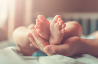 고용보험 미적용자 출산급여