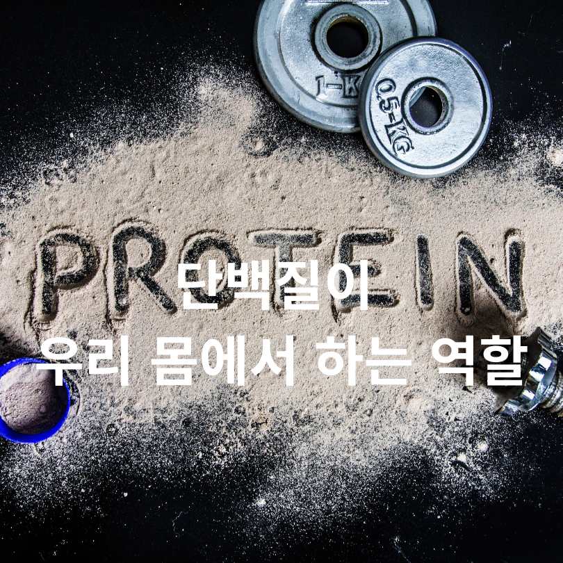 운동하는 당뇨환자 단백질 보충제 섭취 시 꼭 알아야 할 점