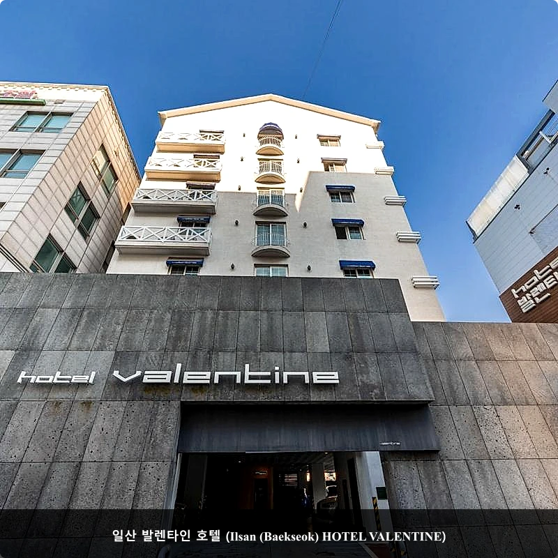 일산 발렌타인 호텔 (Ilsan (Baekseok) HOTEL VALENTINE)_5