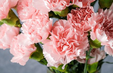 스승의날-감사문구-센스있는문구