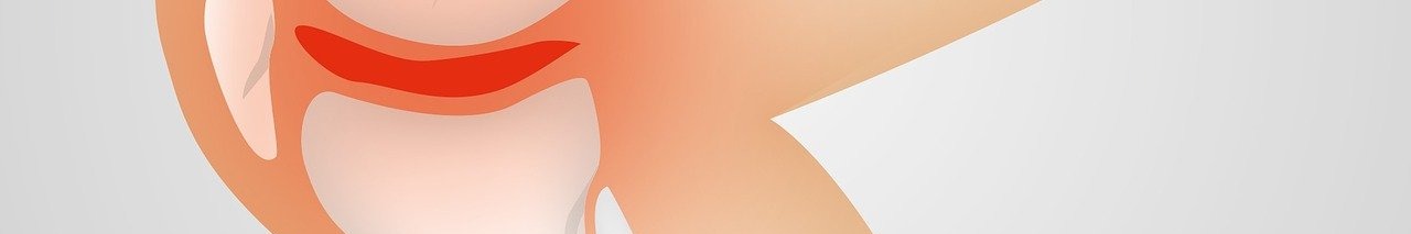 콘드로이친 효능 이미지