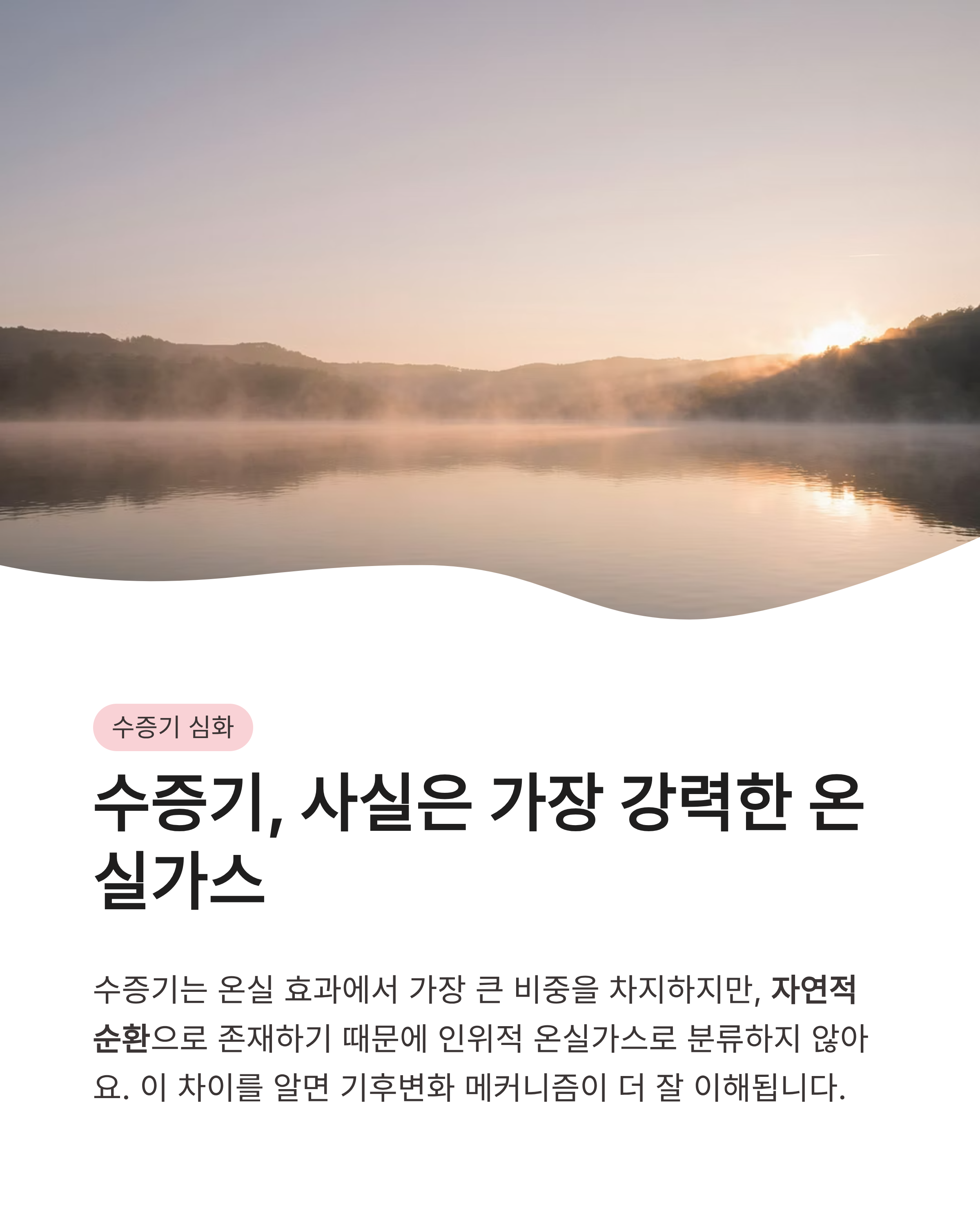 7월 15일 기후동행(기후행동) 퀴즈정답 완벽정리!!