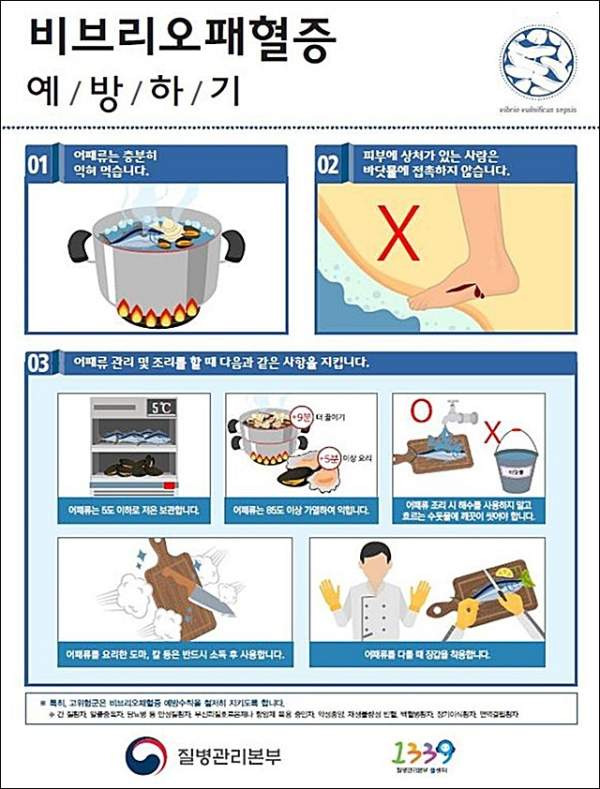 비브리오패혈증 사망자 올해 첫 발생: 치사율 50% 예방법과 고위험군 주의사항 총정리