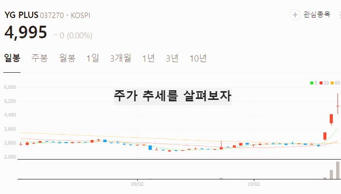 엔터 관련주 대장주 테마주 수혜주 TOP5