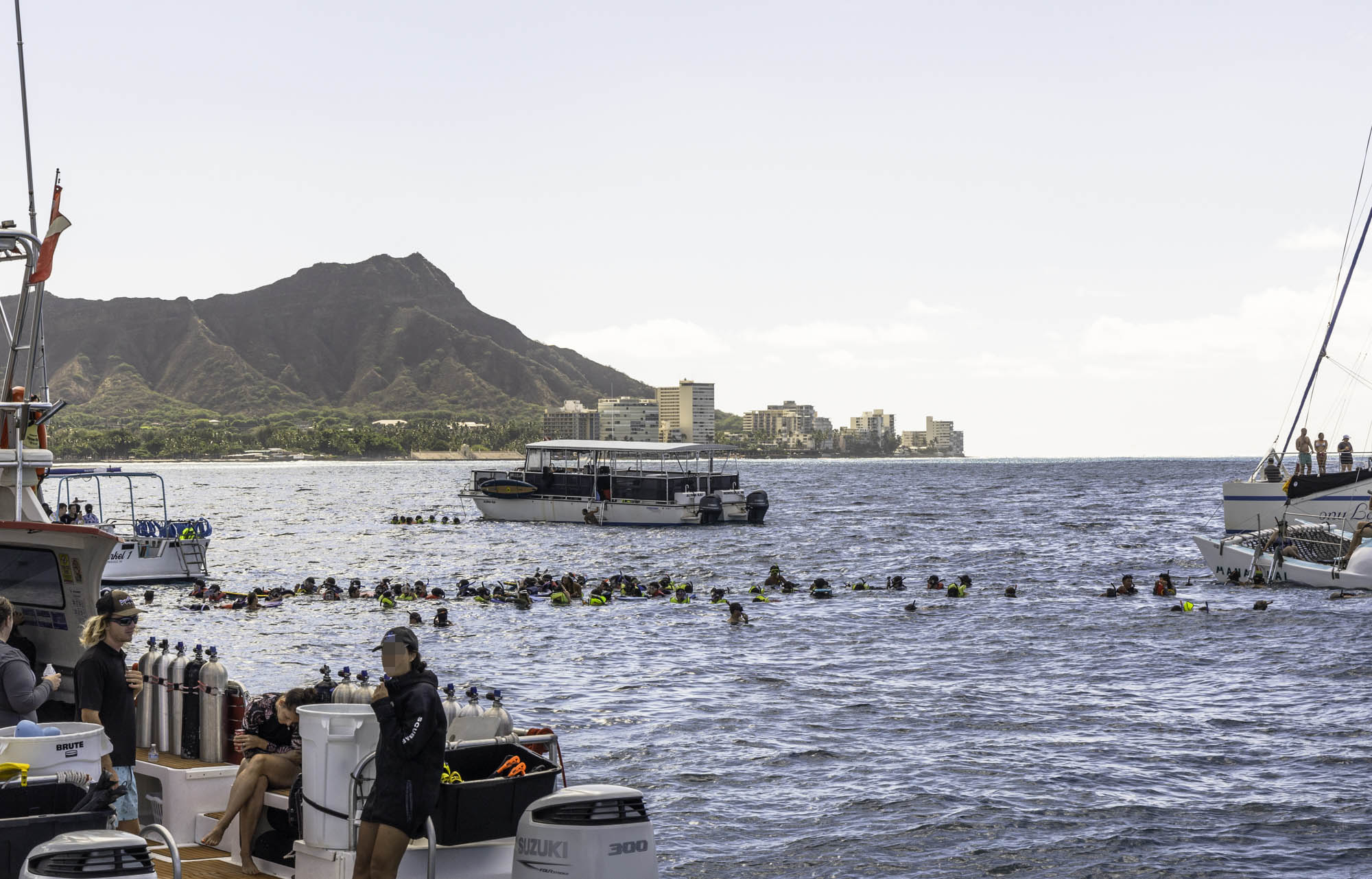 하와이 거북이 스노쿨링