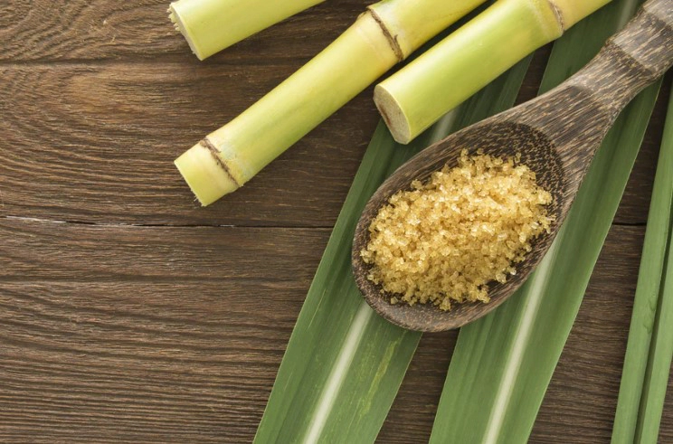 옥타코사놀 효능 부작용 복용법 및 옥타코사놀 음식 영양제 추천