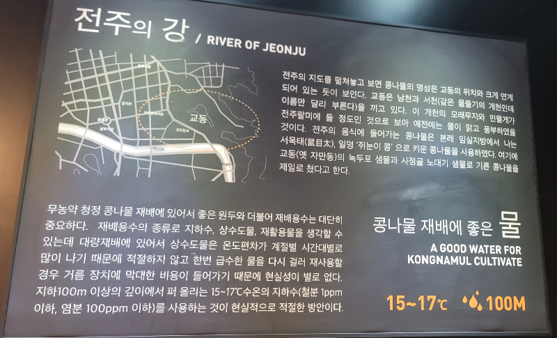 콩나물 재배에 좋은 물 설명