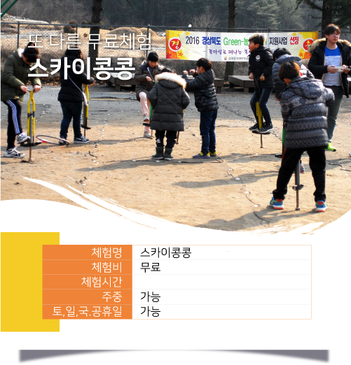 스카이콩콩 