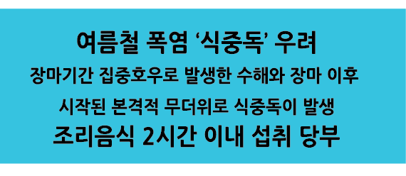 Alt 속성 문제 해결 설명 이미지