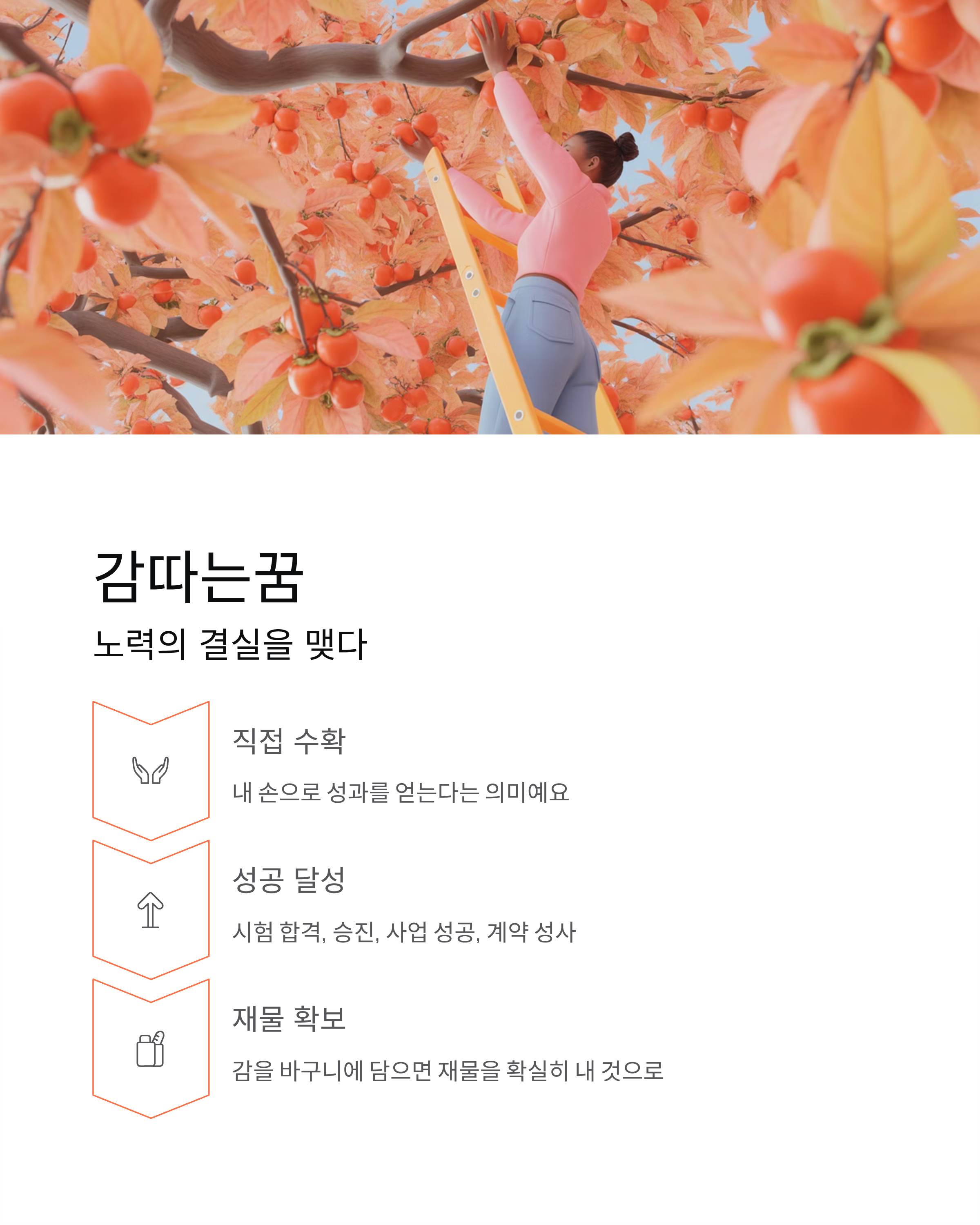 감꿈 해몽 총정리 - 따는꿈·먹는꿈·홍시·태몽 완벽 가이드