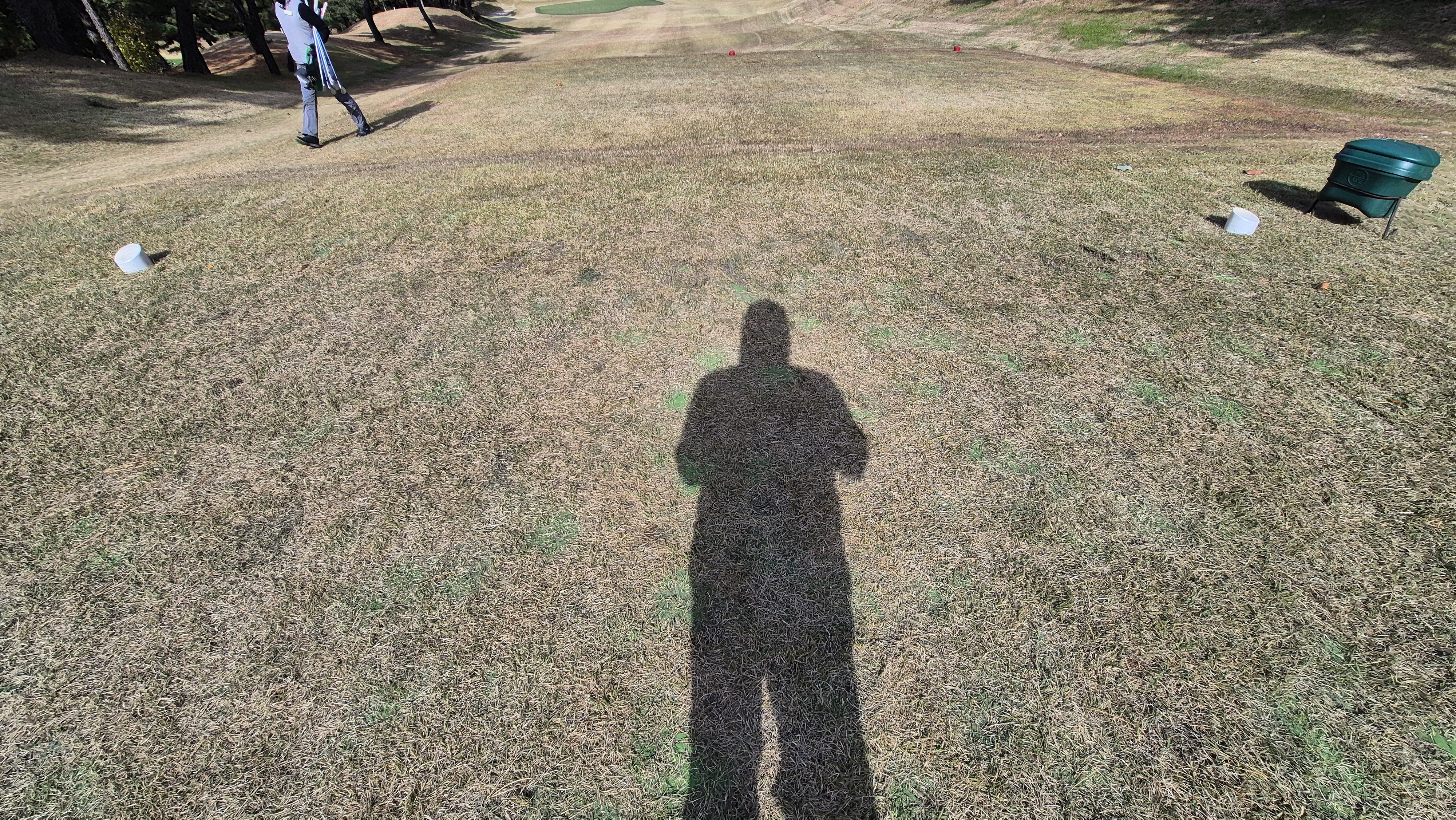 세종에머슨cc 밸리-마운틴 코스 티잉구역 상태