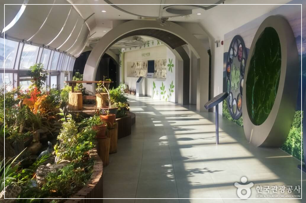 하동 가볼만한곳 베스트10 지리산 생태과학관