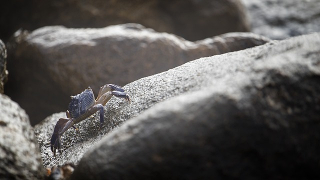 인버터 제습기4