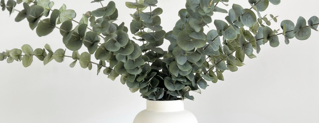 유칼립투스 효능2