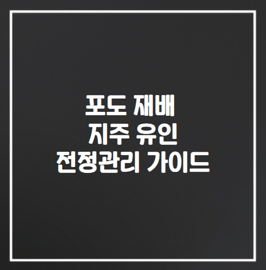 포도 재배 지주 유인 및 전정 관리