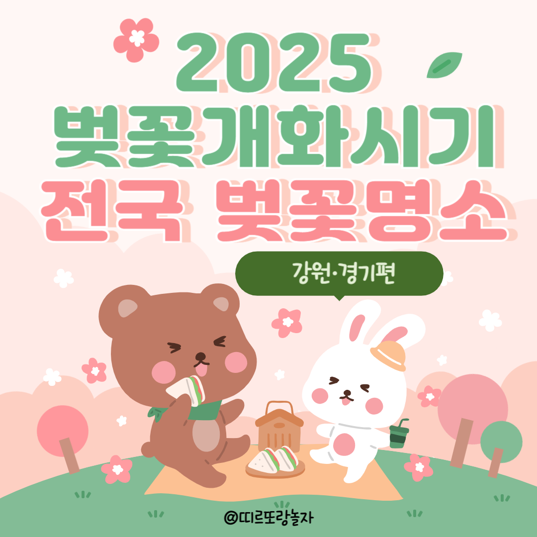 2025 강원&middot;경기 벚꽃명소