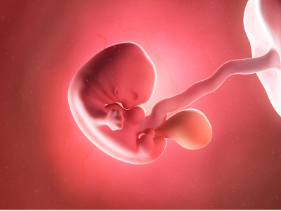 2025 새마을금고 아기뱀 적금 이자 계산 특판 적금 총정리