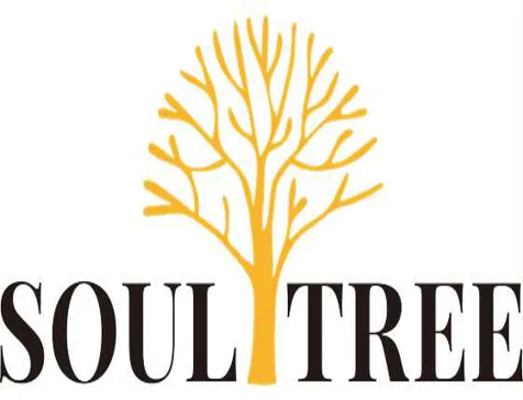 소울트리실용음악학원