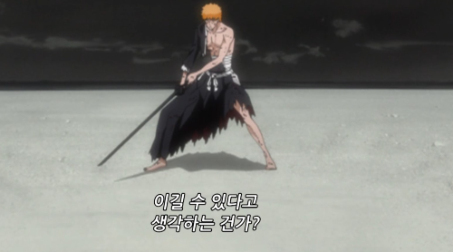 일본애니블리치