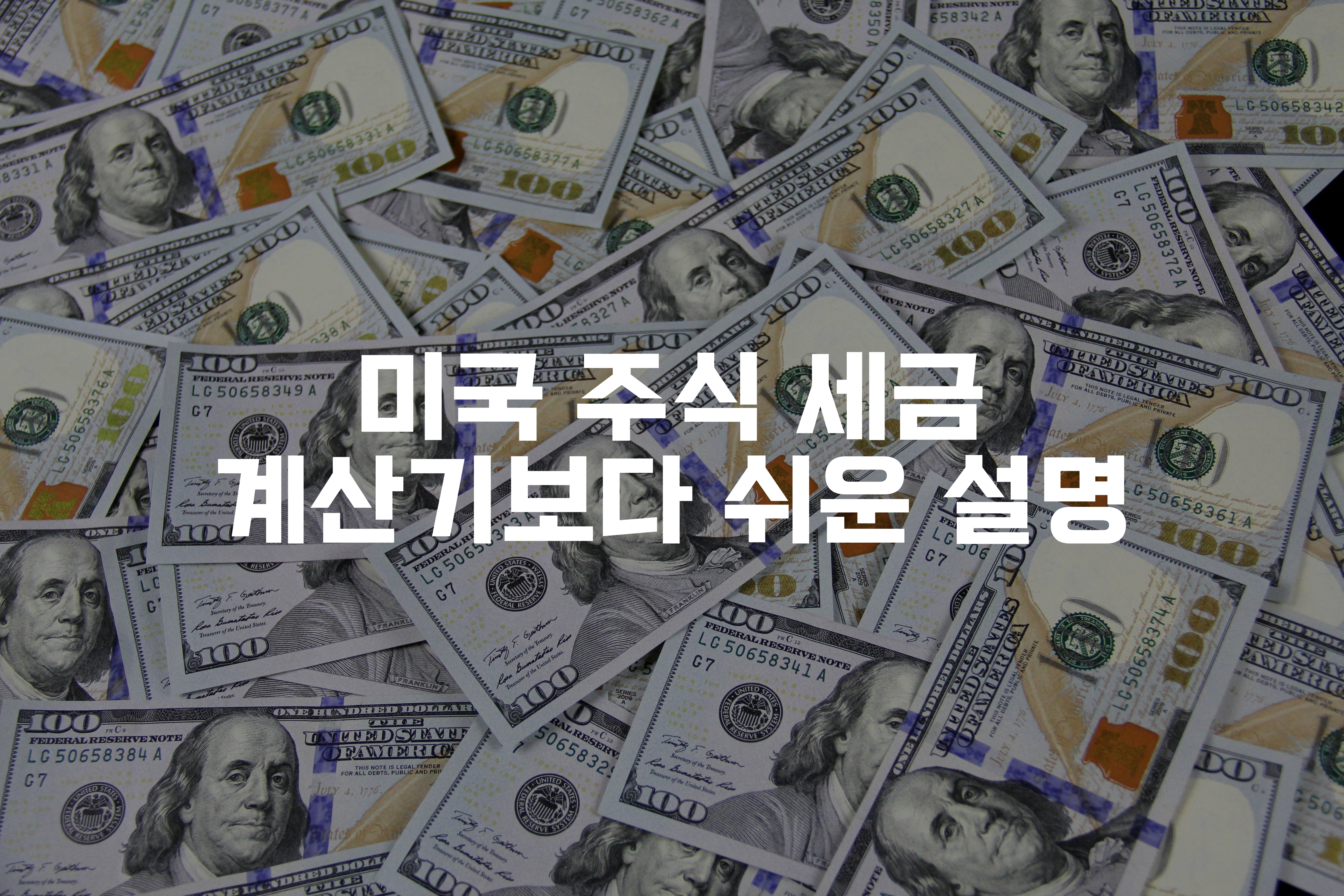 바닥에 펼쳐져있는 달러