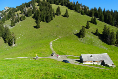 수직농장과 도시농업의 만남, 스마트팜이 바꾸는 식탁의 미래