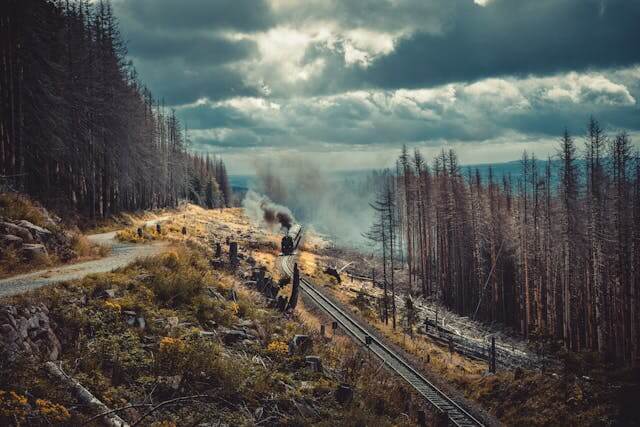 서울역 KTX 시간표 및 예매