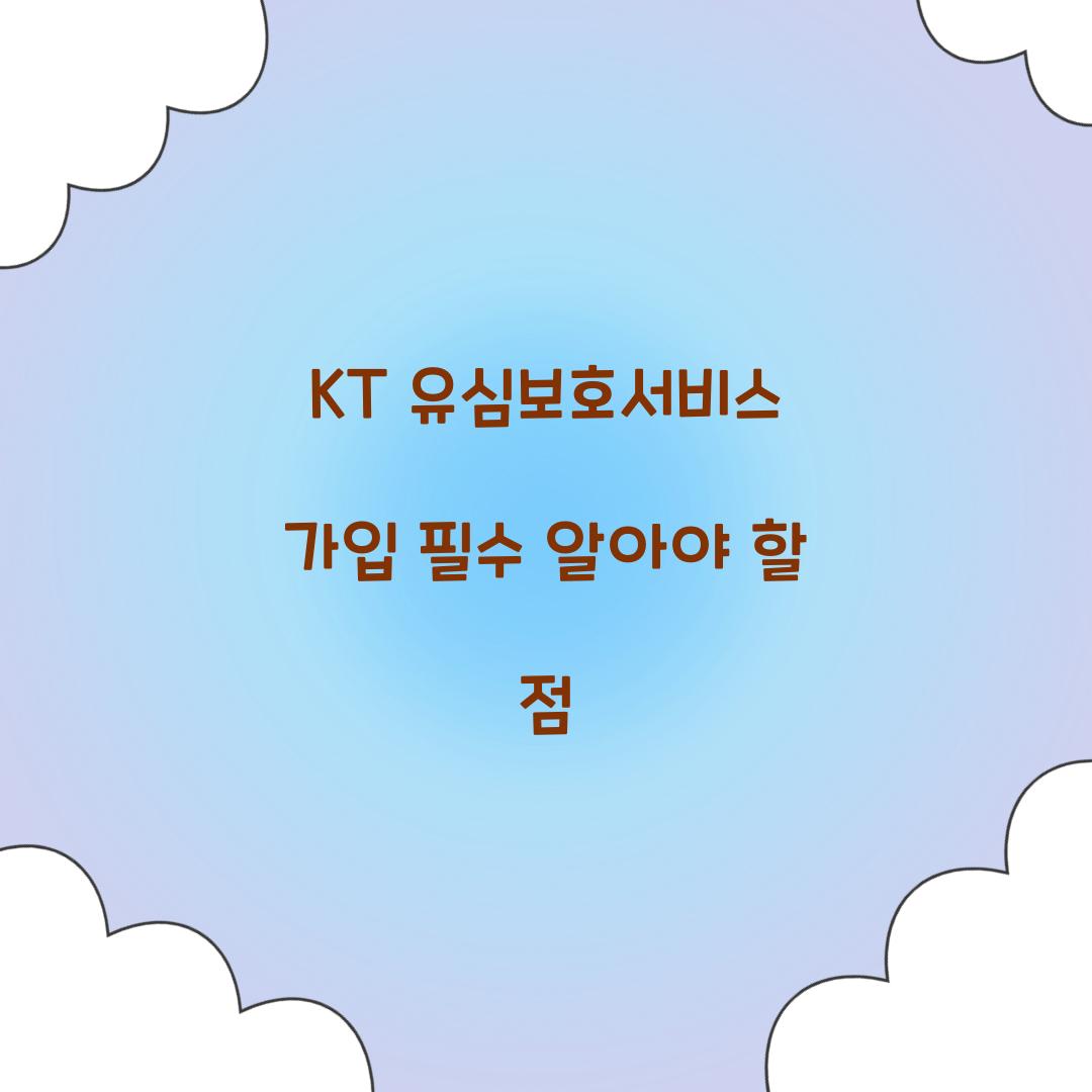 KT 유심보호서비스 가입