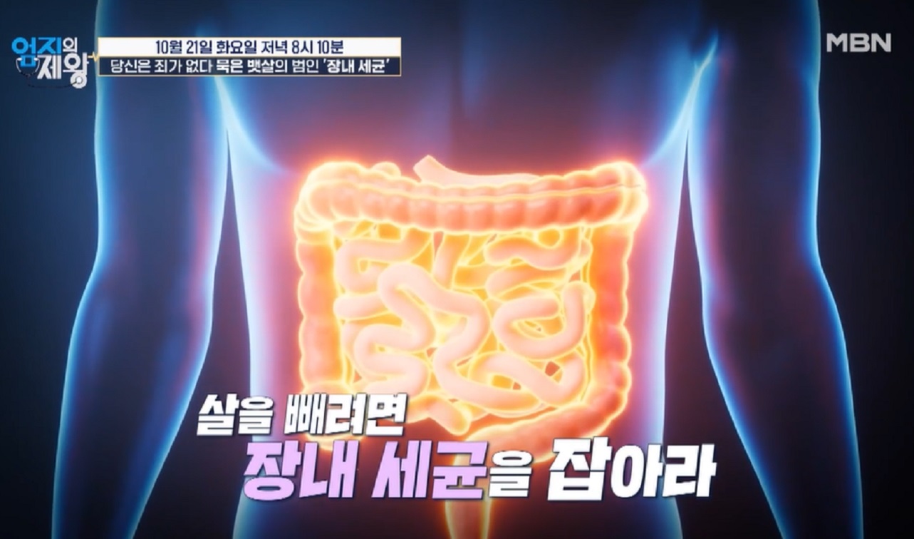 카무트효소-효능-먹는방법-다이어트-엄지의제왕-장내세균