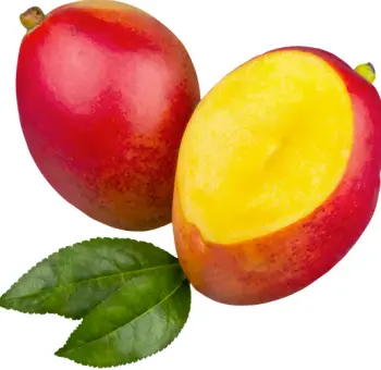 애플 망고 가격 및 효능, 영양성분